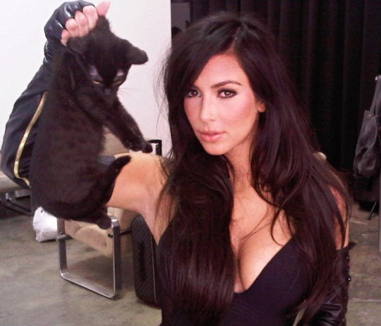 Kim Kardashian cat